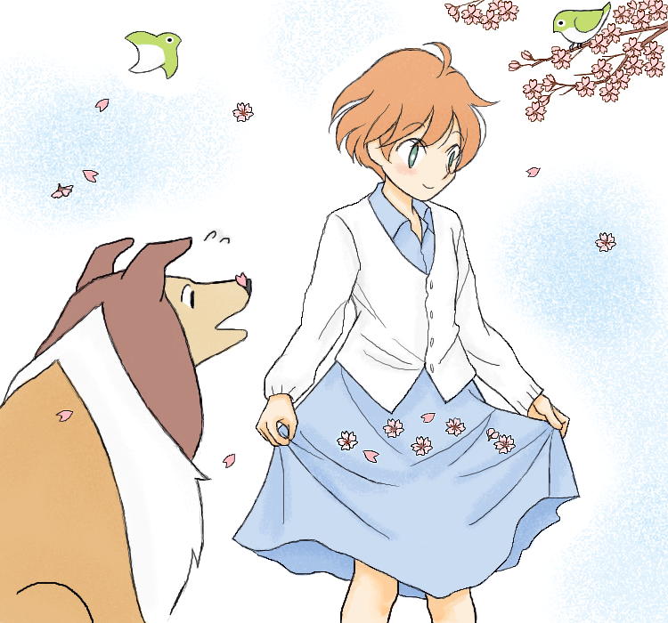 「名犬ラッシー（2026春）」 illustrated by ねっつん