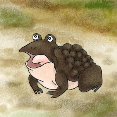 ひき蛙のじいさま　illustrated by ねっつん